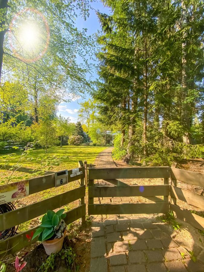 Ferienwohnung Im Sachsenwald Dassendorf Ngoại thất bức ảnh